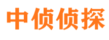 纳溪私家调查公司